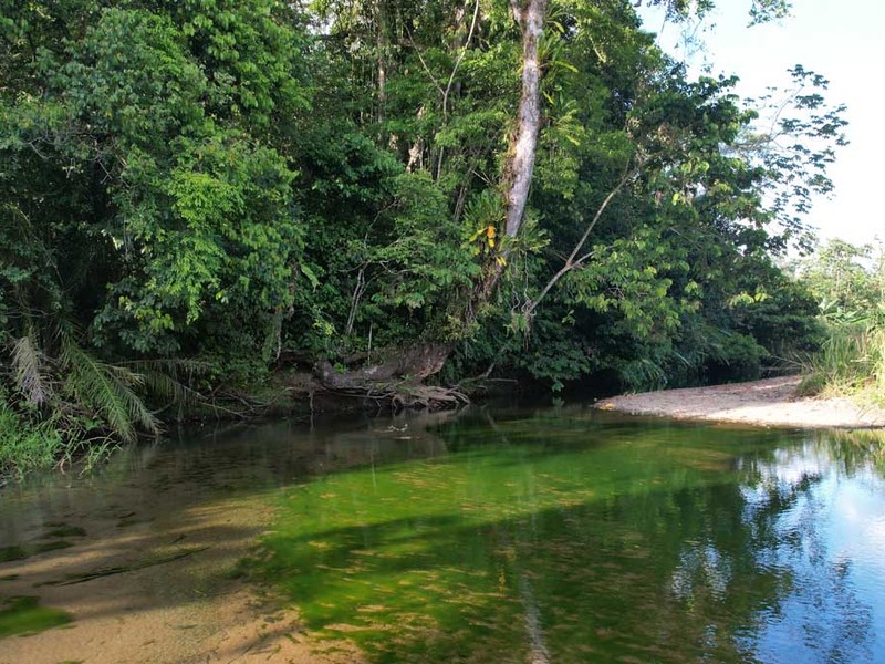 0 bed Lot/Land For Sale in , 